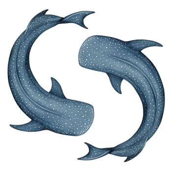 Whale Shark Wedding Icon
